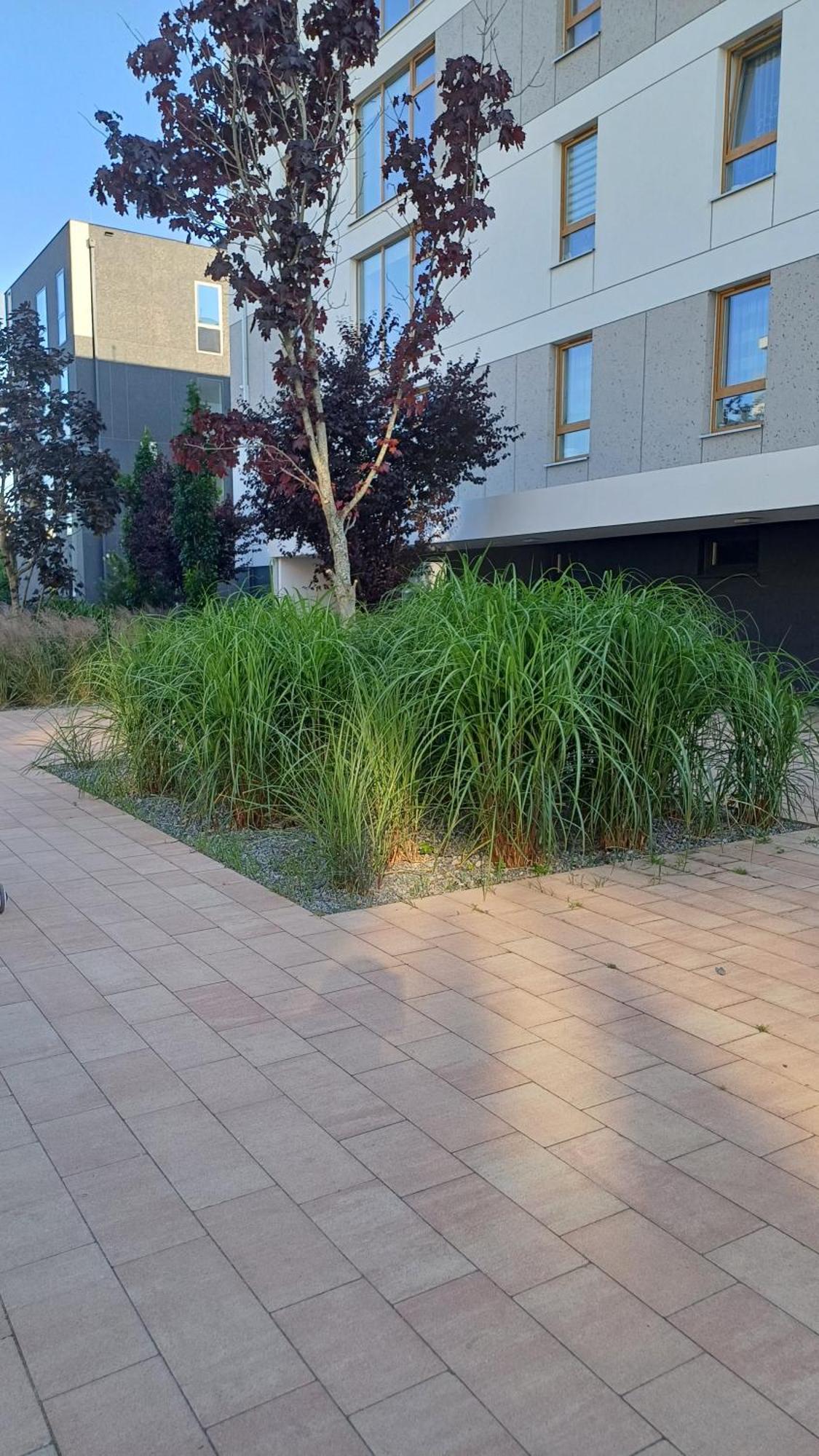 Apartament Davima Aquapark Rumia - Novum Zewnętrze zdjęcie